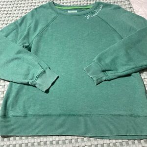 American Eagle Outfitters Green Sweatshirt with Embroidered Detail